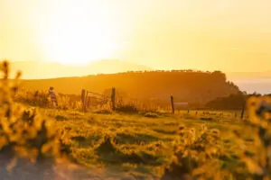 Magical-Boltholes_Scenery-22